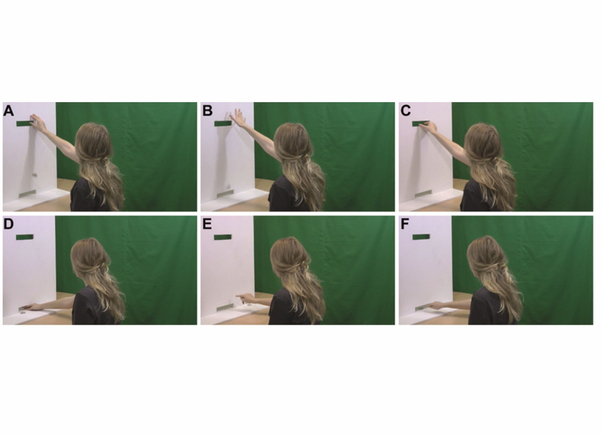 stills of actions used as stimuli in the paper
