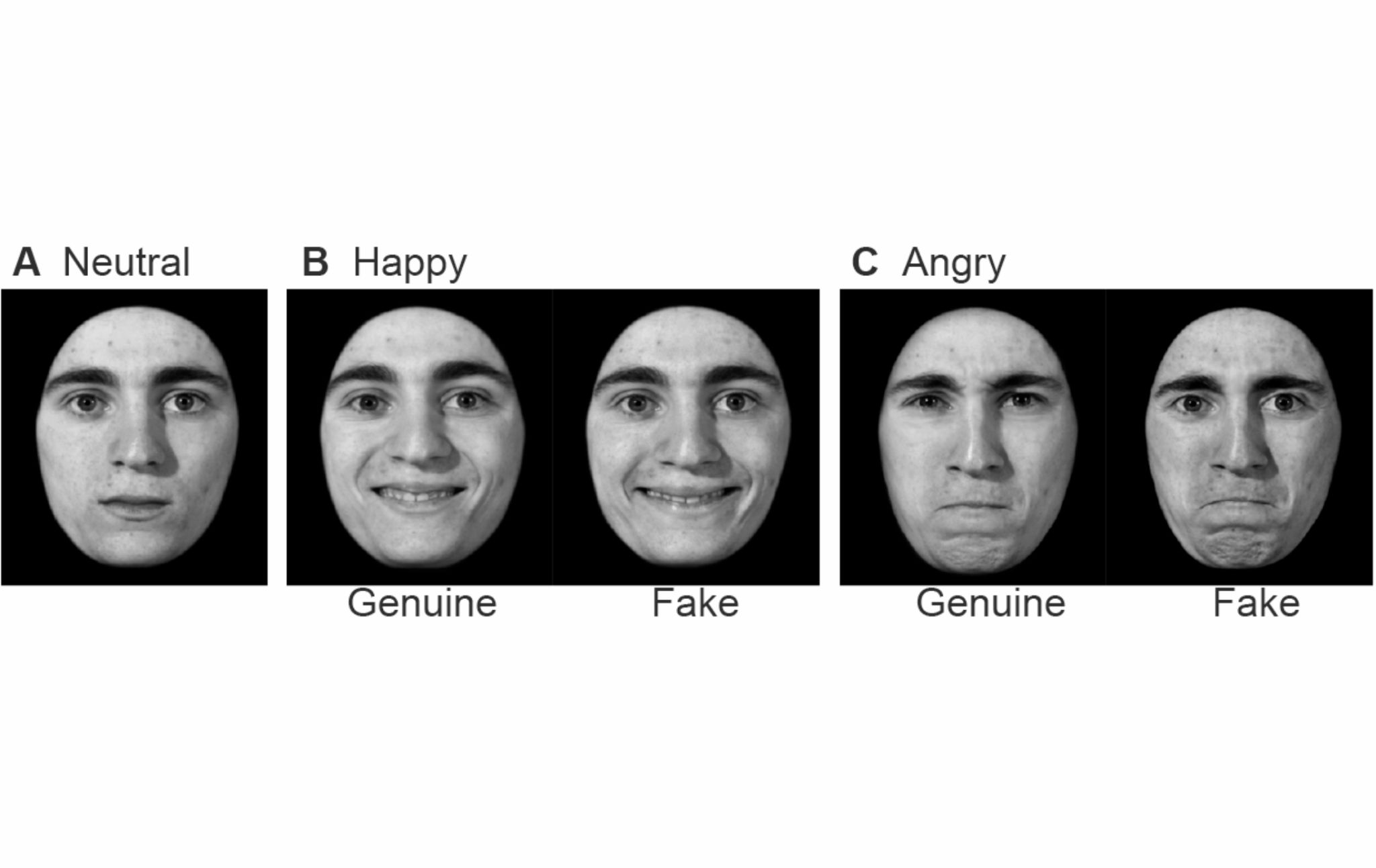faces expressing different emotions from paper